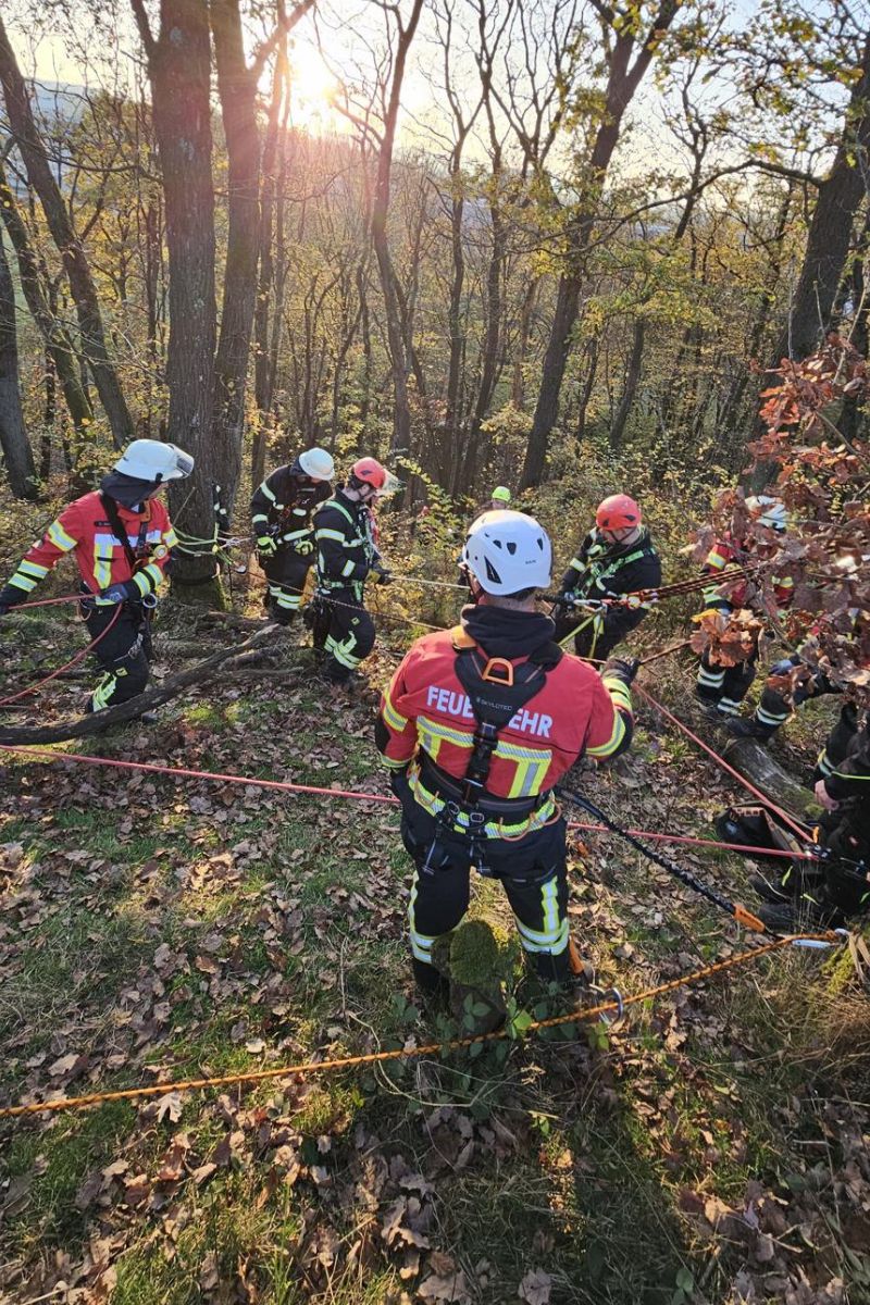 sicherungstechnik_saar_wald